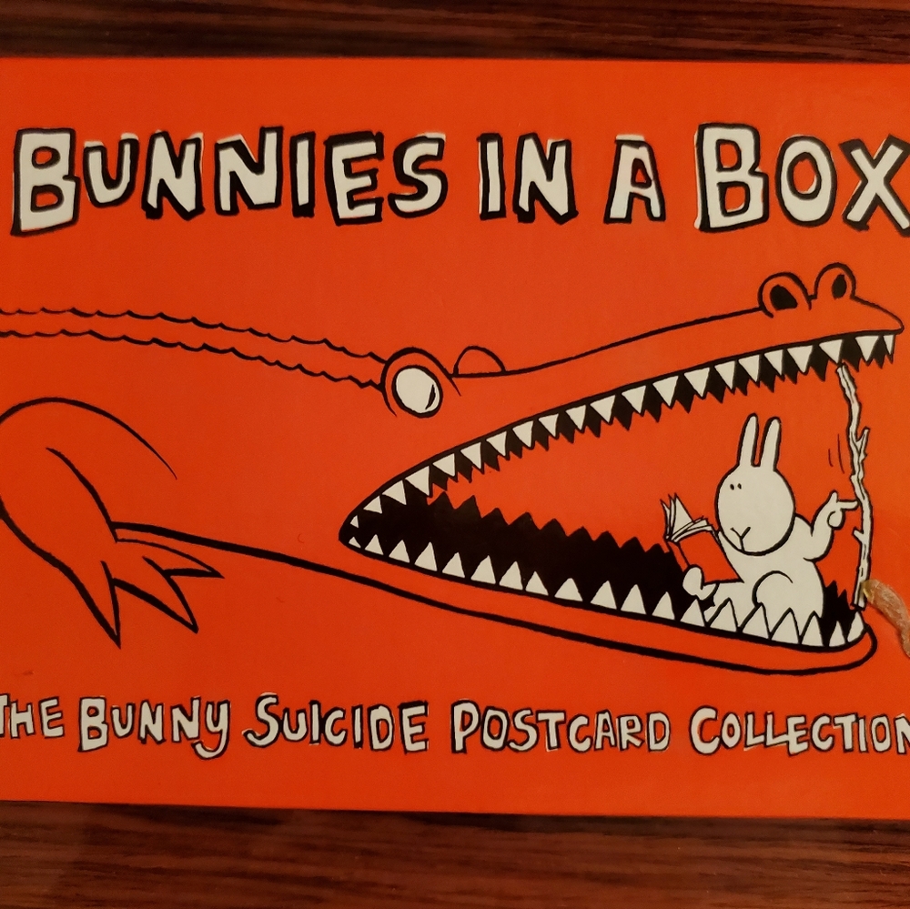 Postcards...Bunnies in a Box 40 NEW, witty, charming, artistic cards🤣🐇🐰